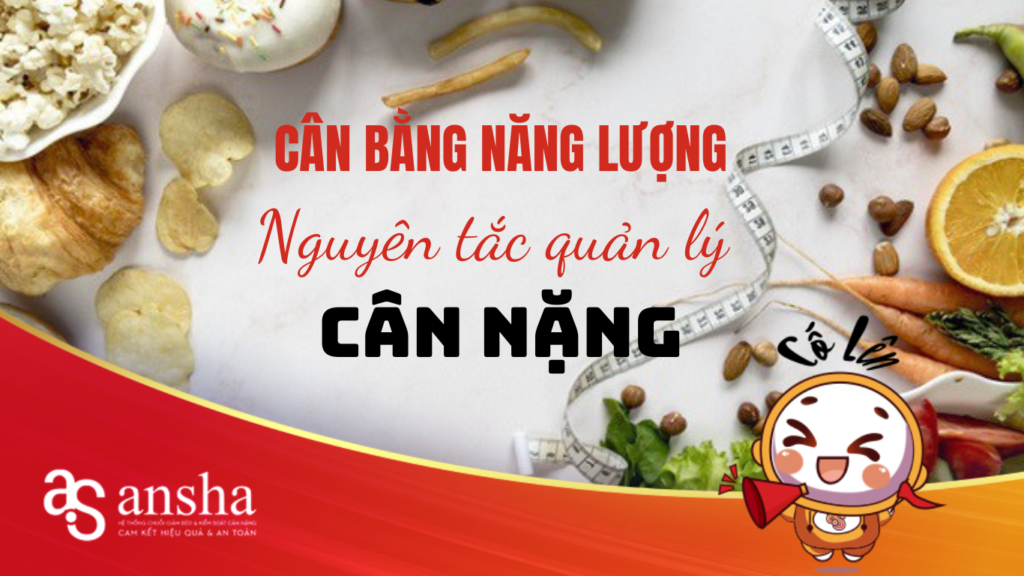 Cân Bằng Năng Lượng – Nguyên Tắc Quản Lý Cân Nặng