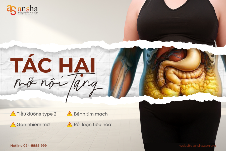 Mỡ nội và mỡ dưới da: Hiểu đúng để giảm cân an toàn và bền vững