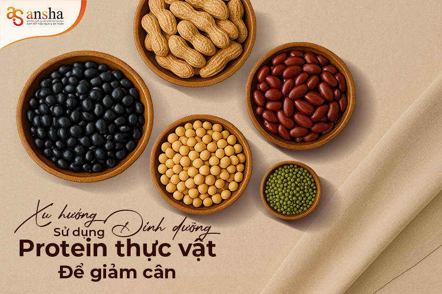 Xu Hướng Dinh Dưỡng Sử Dụng Protein Thực Vật Để Giảm Cân