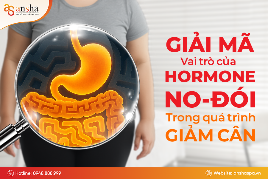 Giải mã vai trò của hormone đói - no trong quá trình giảm cân