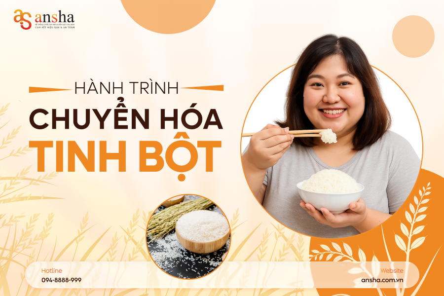 hanh-trinh-chuyen-hoa-tinh-bot